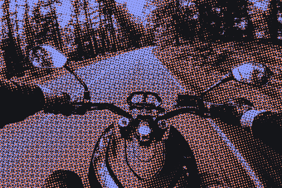 View from a motorcycle on a forest road