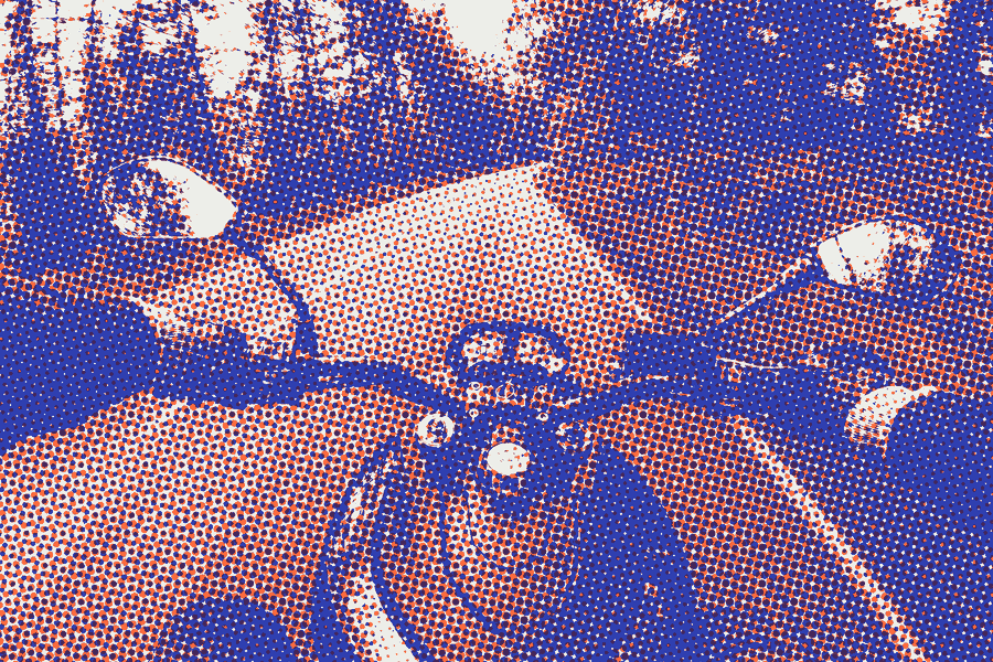 View from a motorcycle on a forest road