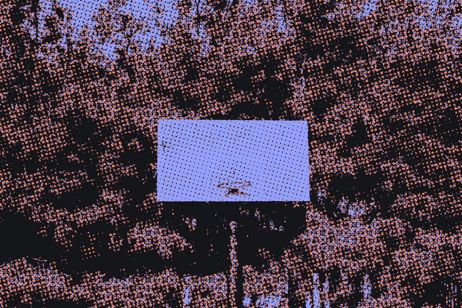 A basketball backboard in front of pine trees